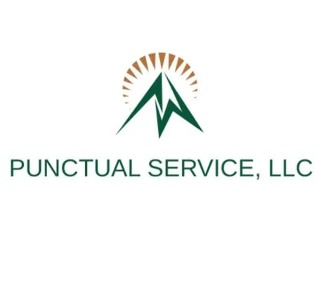 Punctual Service Logo