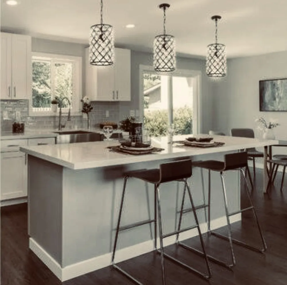 Slide of Pure Living Electric