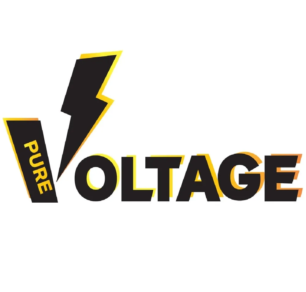 Slide of Pure Voltage, Inc.