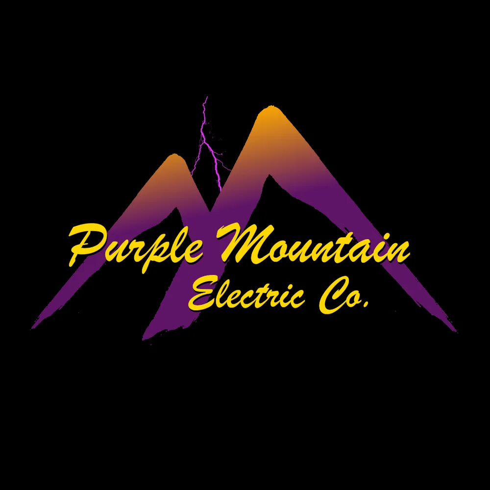 Slide of Purple Mountain Electric