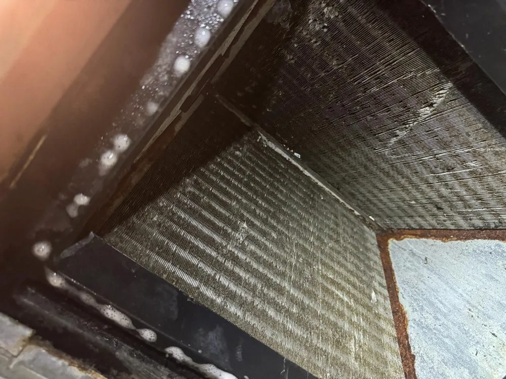 Slide of Purritos Company