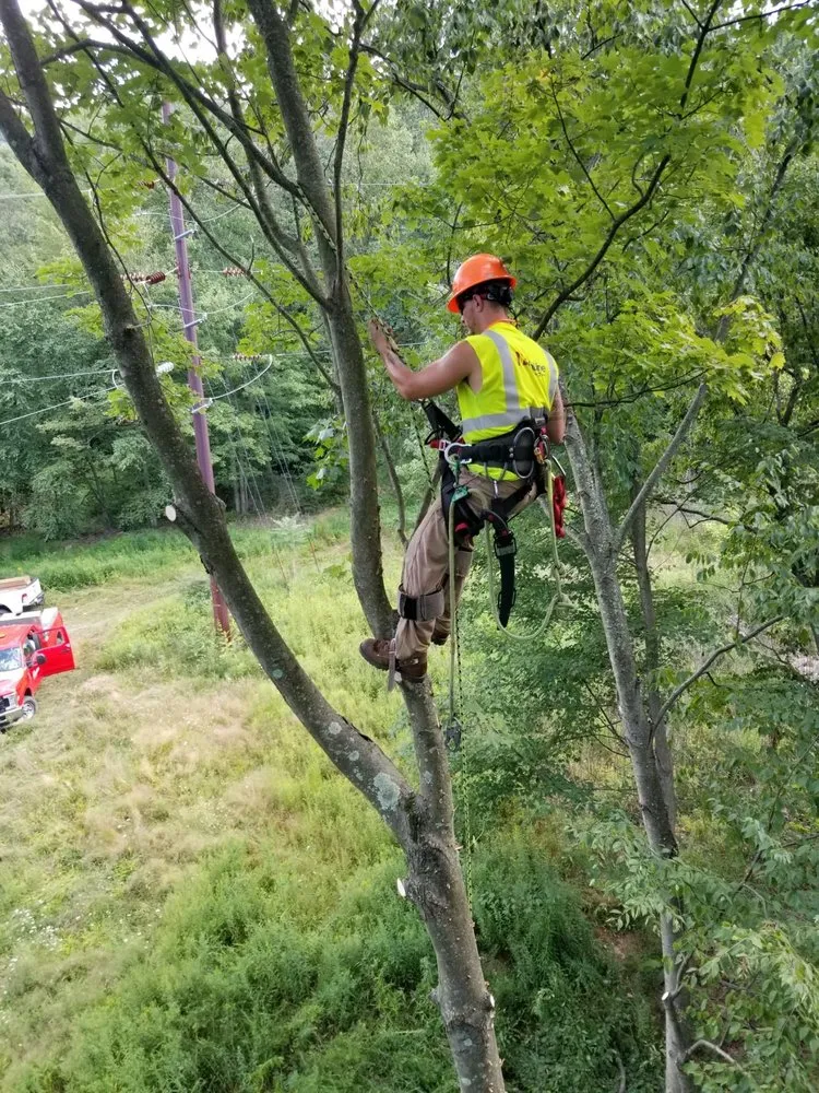 Slide of Pursel Contracting