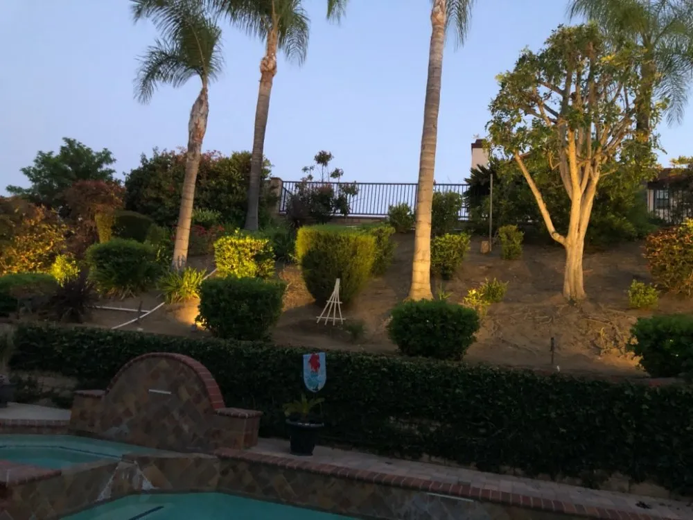 Slide of Q's Electrical