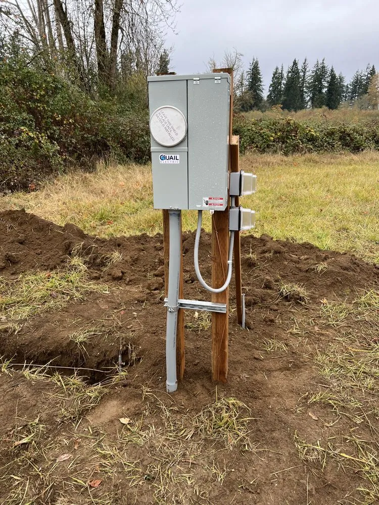 Slide of Quail Electric