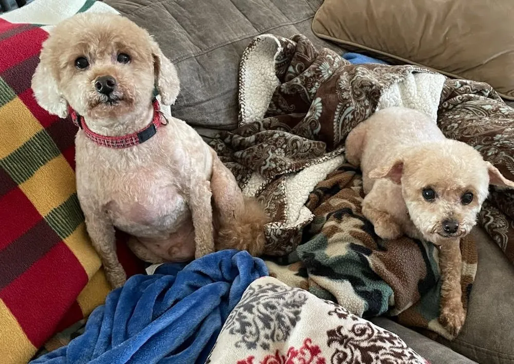 Slide of Quality Electric