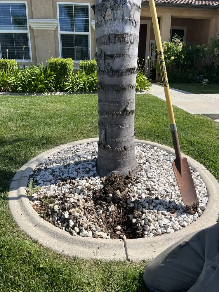 Slide of Quality First Electric