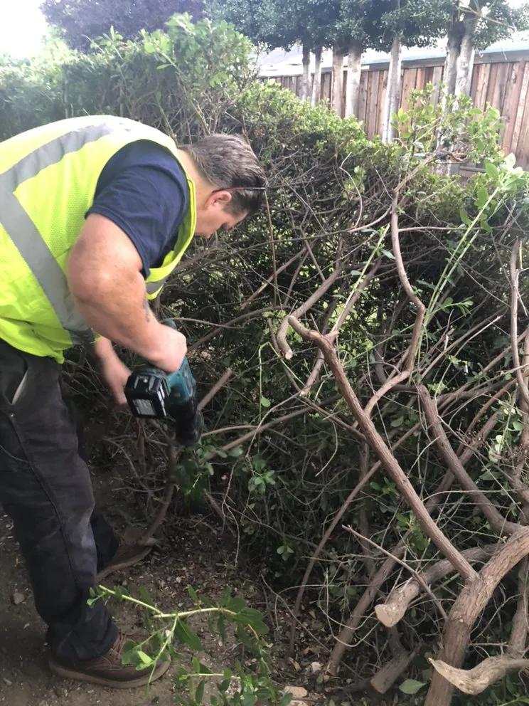 Slide of Quality Lighting and Power