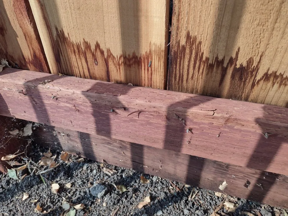 Slide of Quality Pros