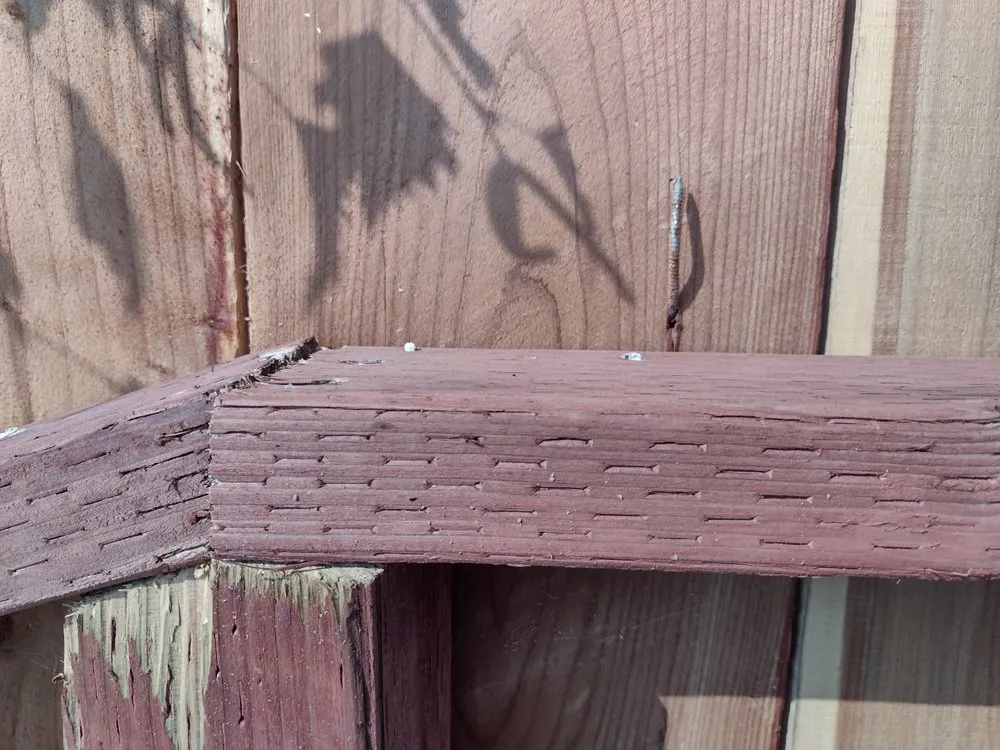 Slide of Quality Pros