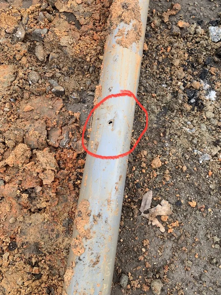 Slide of Quality services