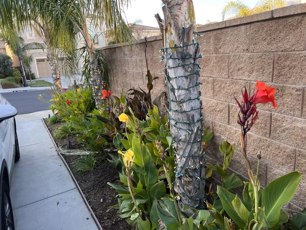 Slide of Quantum Thunder