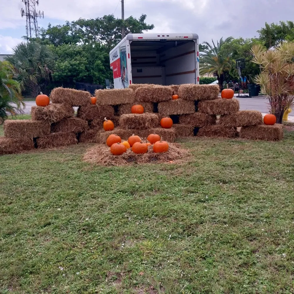 Affordable electrician providing electrical repair in ,