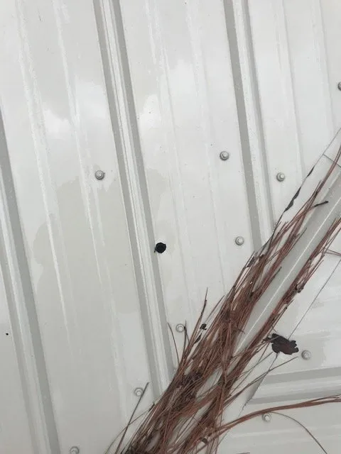 Slide of R F Electrical Services