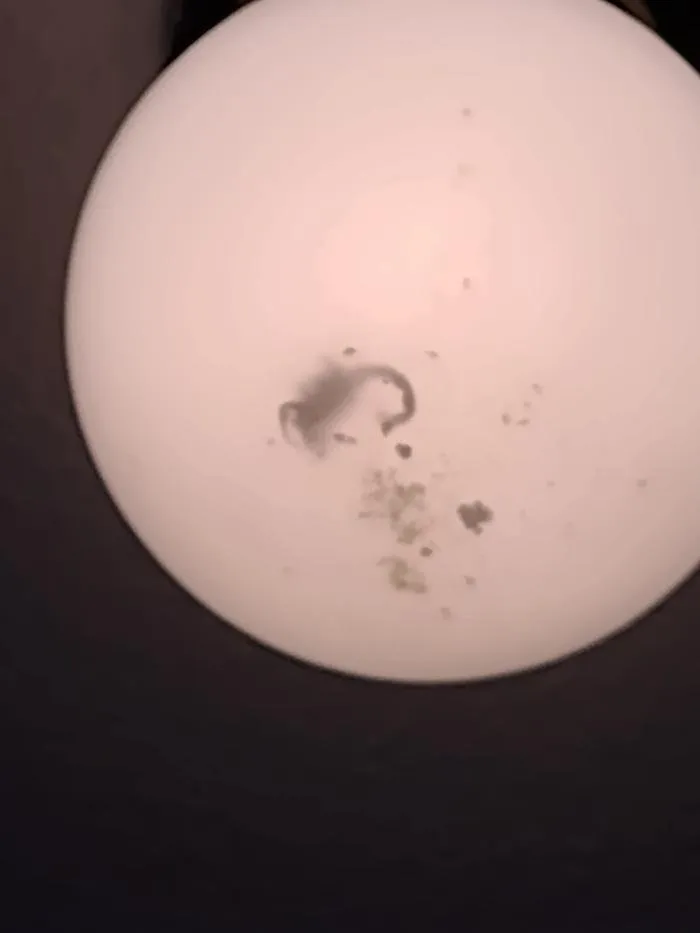 Slide of R Patrick Carroll III Services