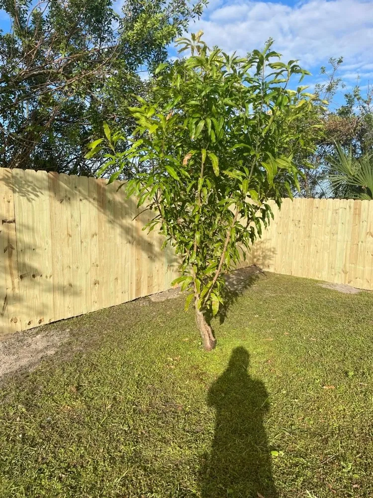 Slide of RA Maintenance & Remodeling