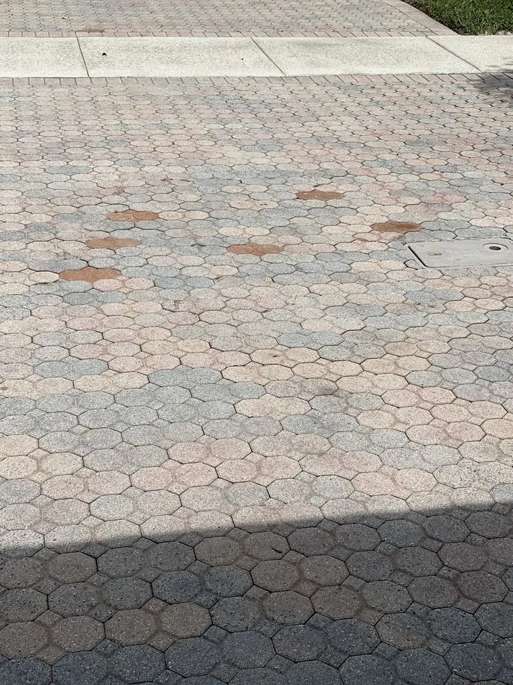 Slide of Rack Electric