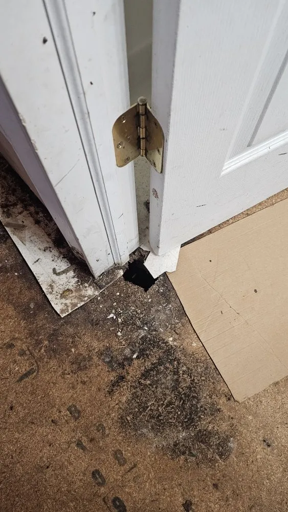 Slide of Rad Chad's Handyman Services