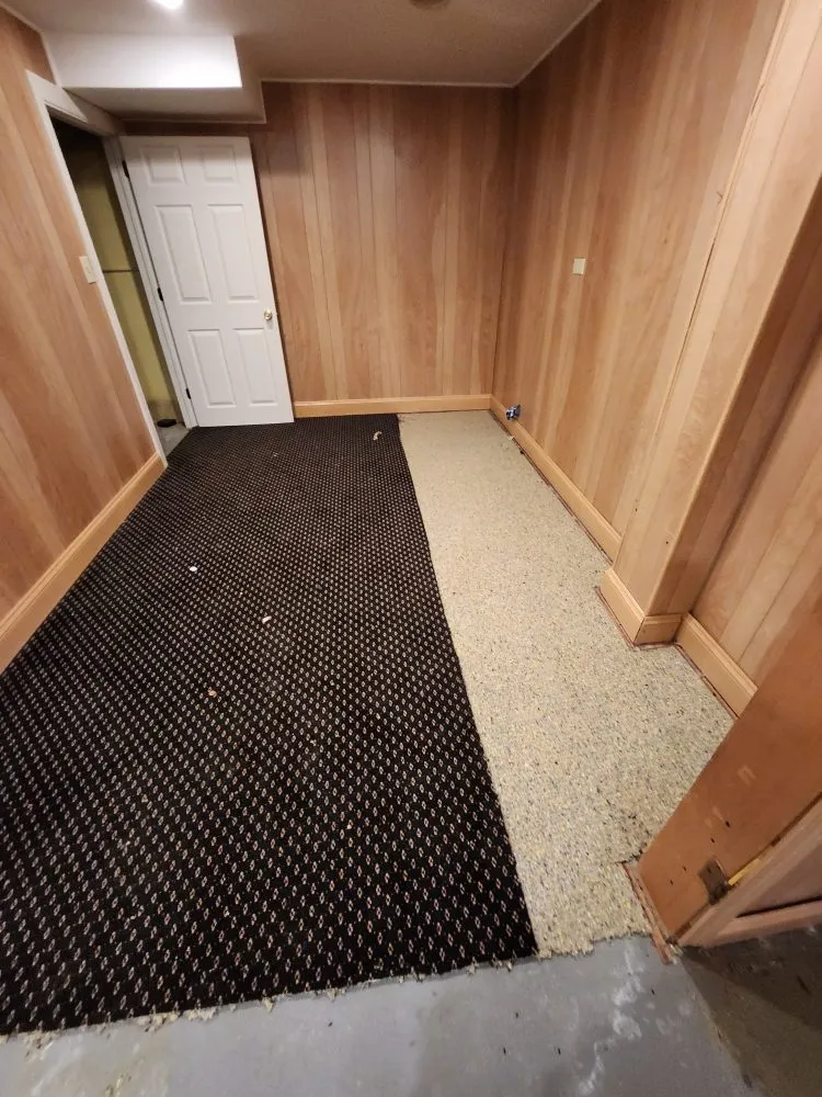 Expert panel upgrade service in ,  - Radiant Results