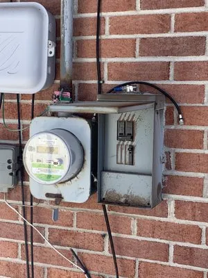 Raintree Electric Logo