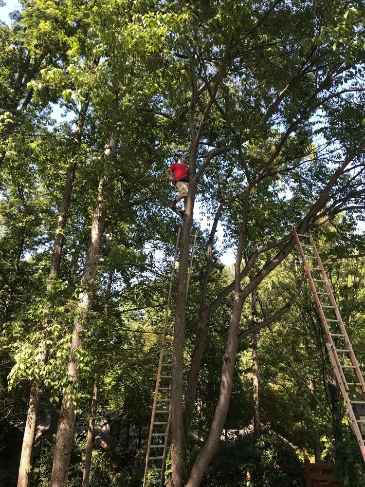 Slide of Raleigh Electric Co