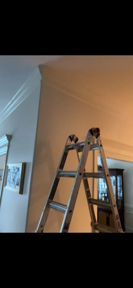 Slide of Ramirez Projects