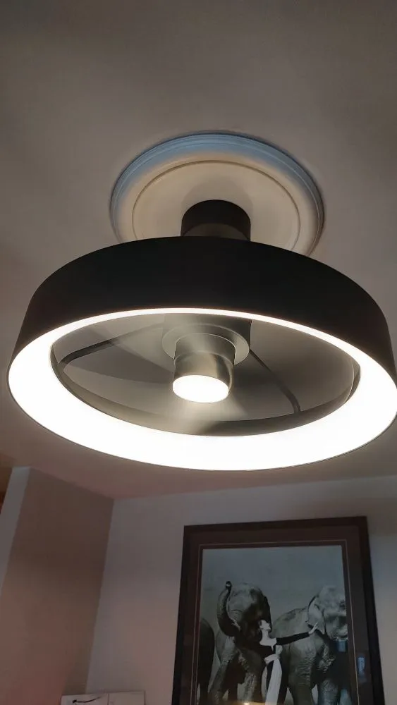 Slide of Rampad Electric