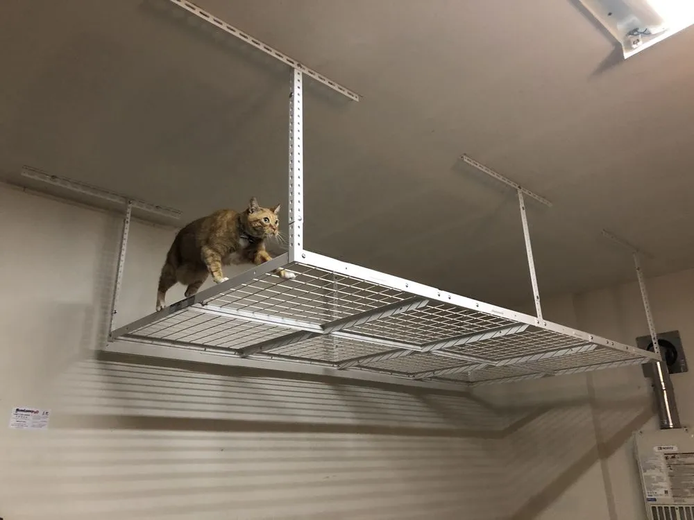 Certified electrician providing electrical repair in , 