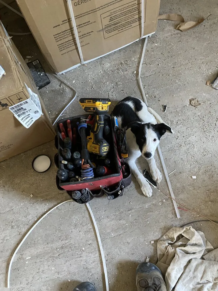 Expert outlet and switch repair service in ,  - Randy Palma Electrical