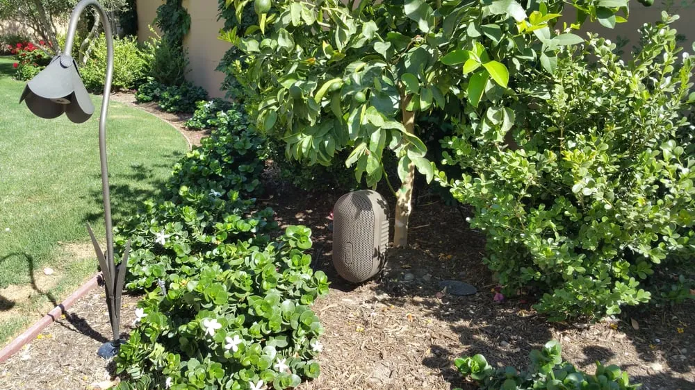 Slide of Rangel Electric