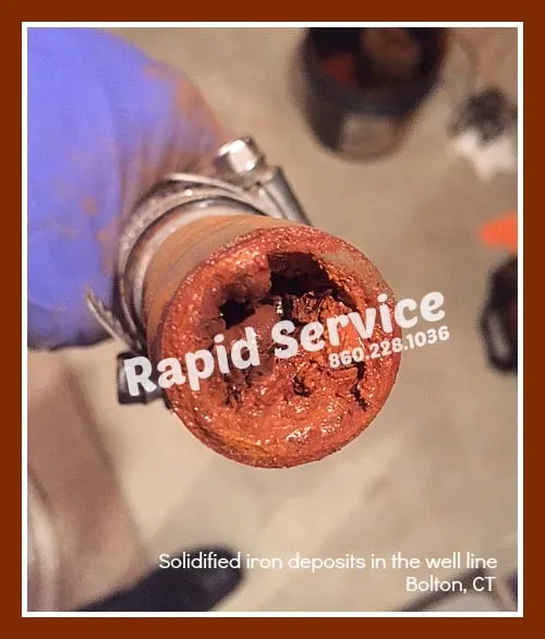 Slide of Rapid Service