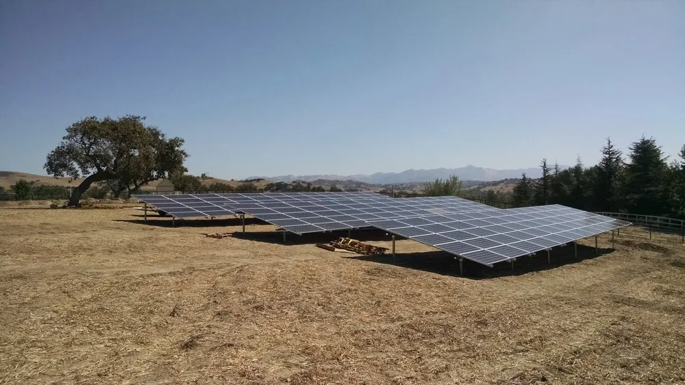 Slide of Rare Electric