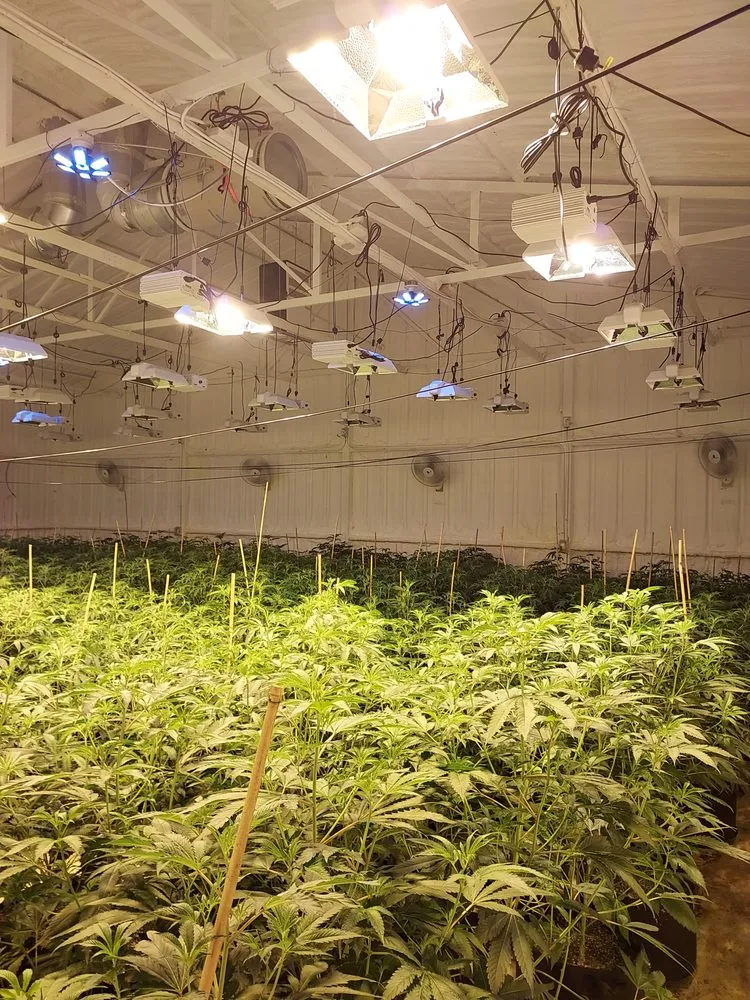 Slide of Ray Electric