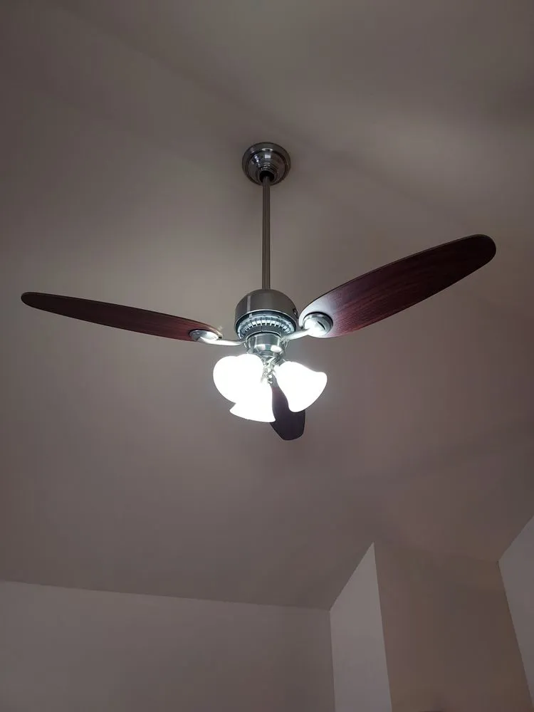 Slide of Ray Electric