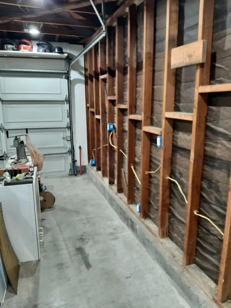 Slide of Rayman Electric