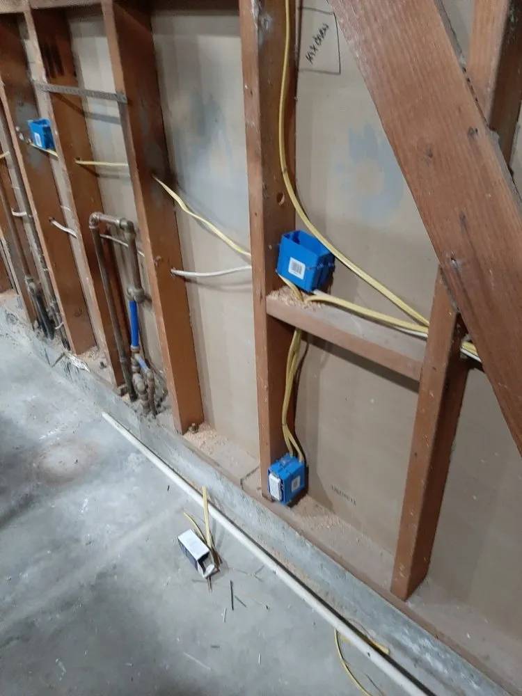 Slide of Rayman Electric