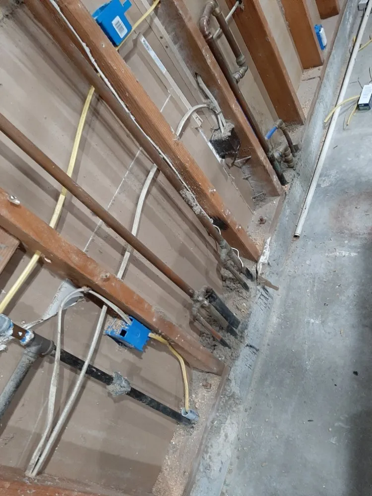 Slide of Rayman Electric