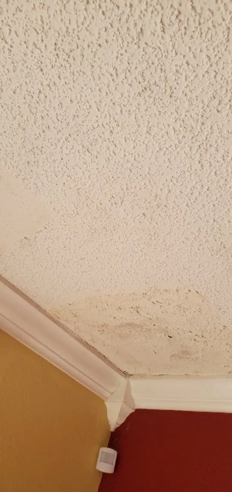 Slide of Real And Proper Building Development