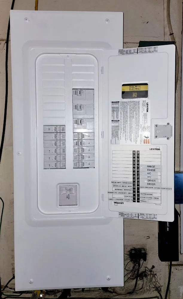 Slide of Real Electric