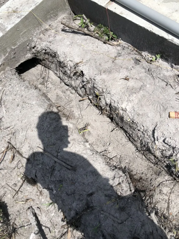 Slide of Real Life Electric