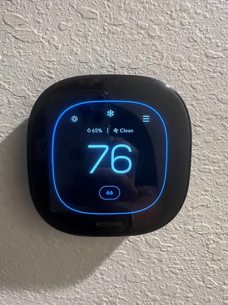 Slide of Red Beard Electric