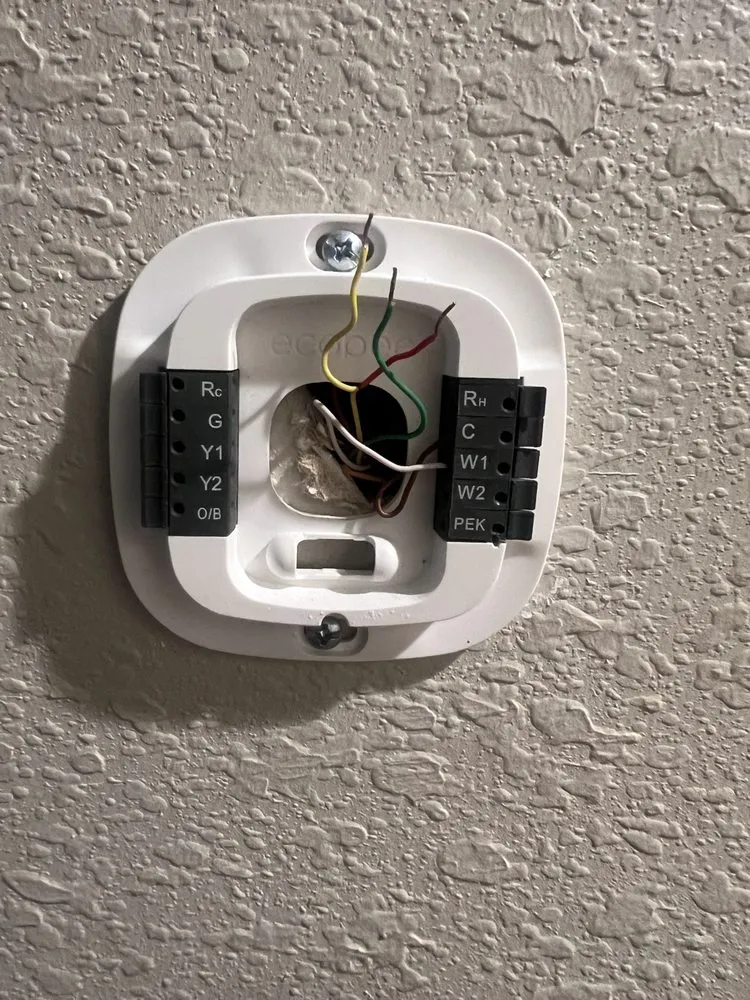 Slide of Red Beard Electric