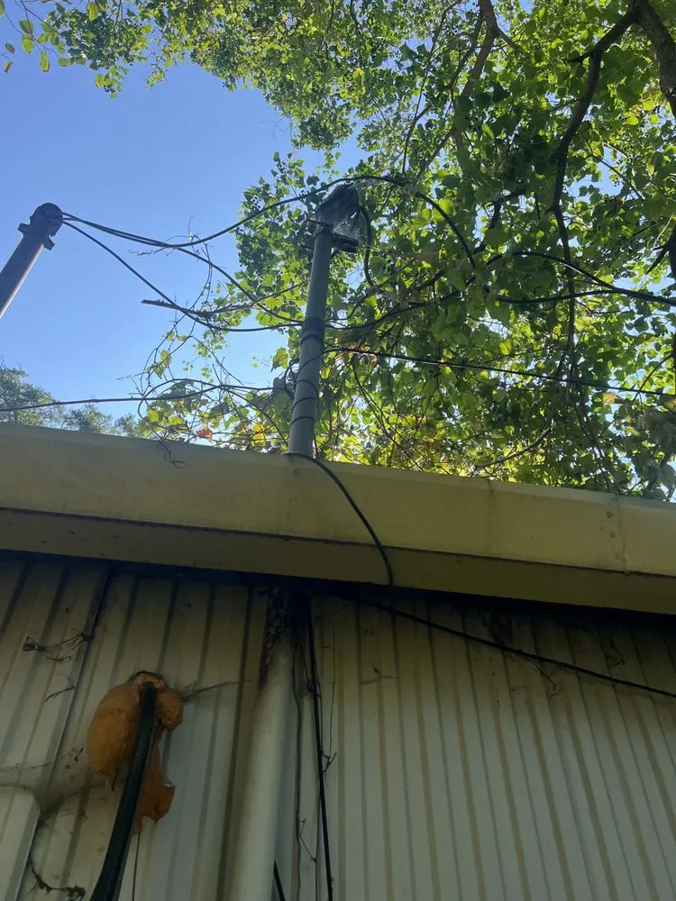 Slide of Red Beard Electric