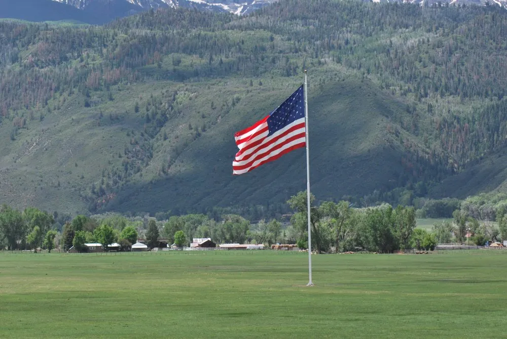 Slide of Red Beard Electric