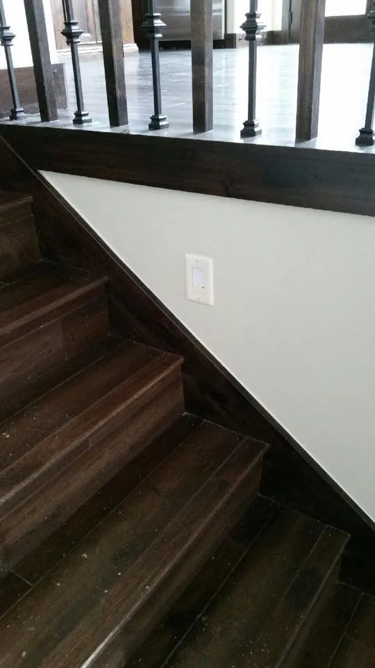 Slide of Red Castle Electric