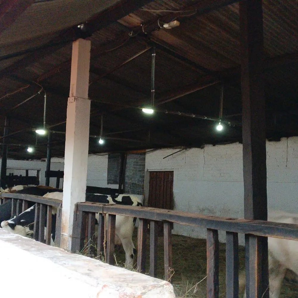 Slide of Red Eye Electric Service