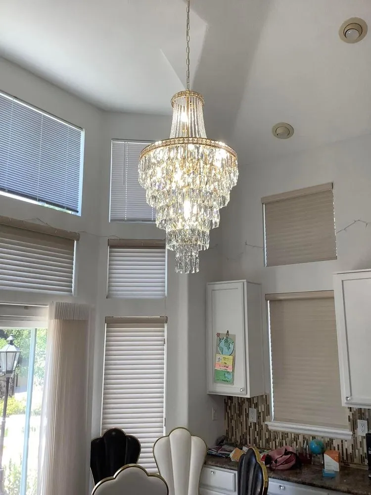 Slide of Red Fox Electric