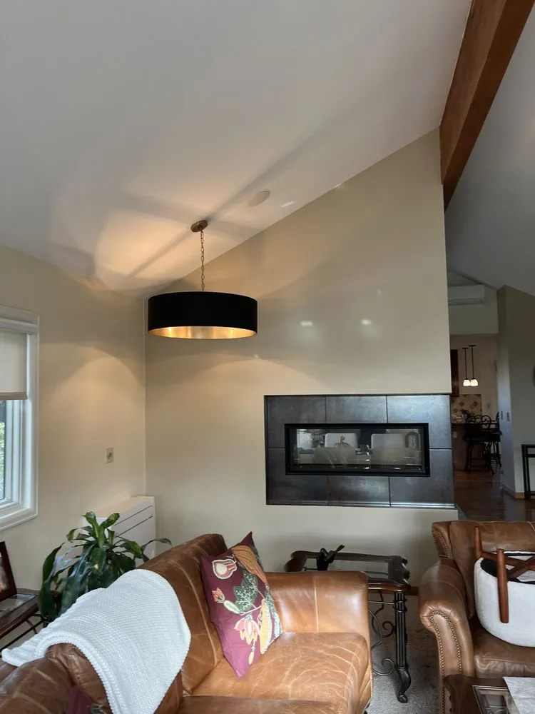 Slide of Red Fox Electric