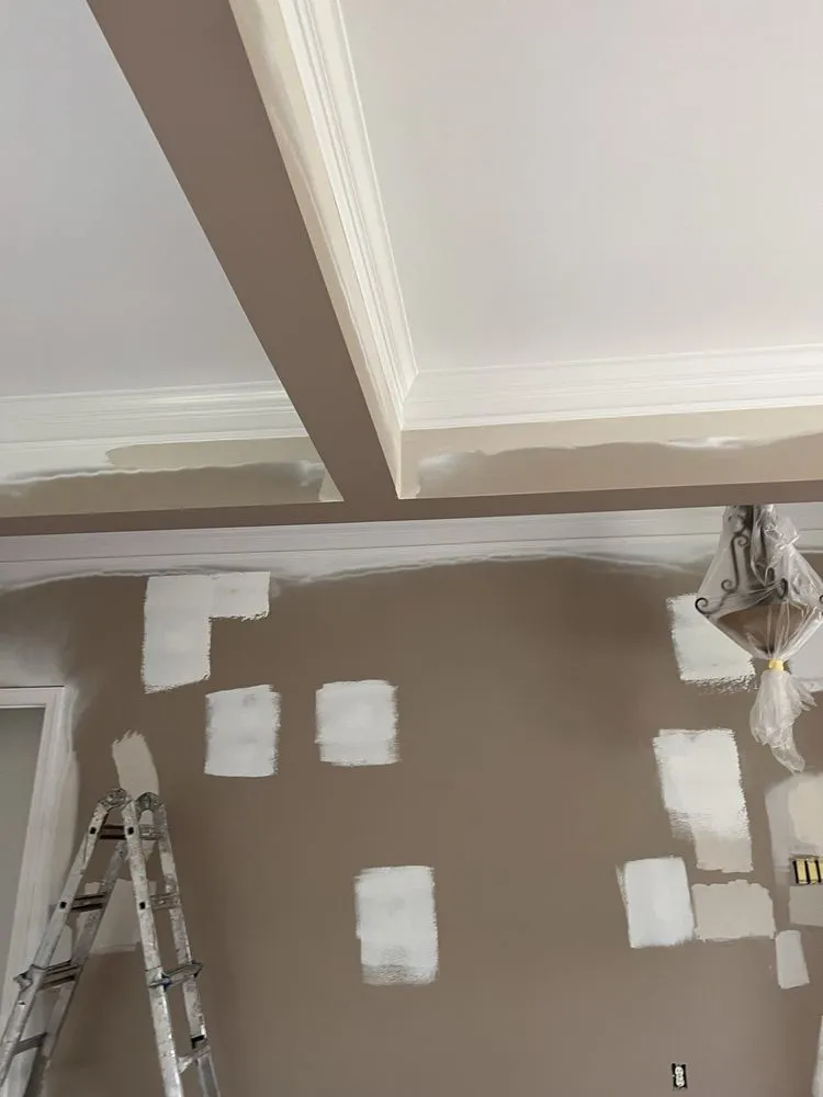 Slide of Red Hot Chili Painters