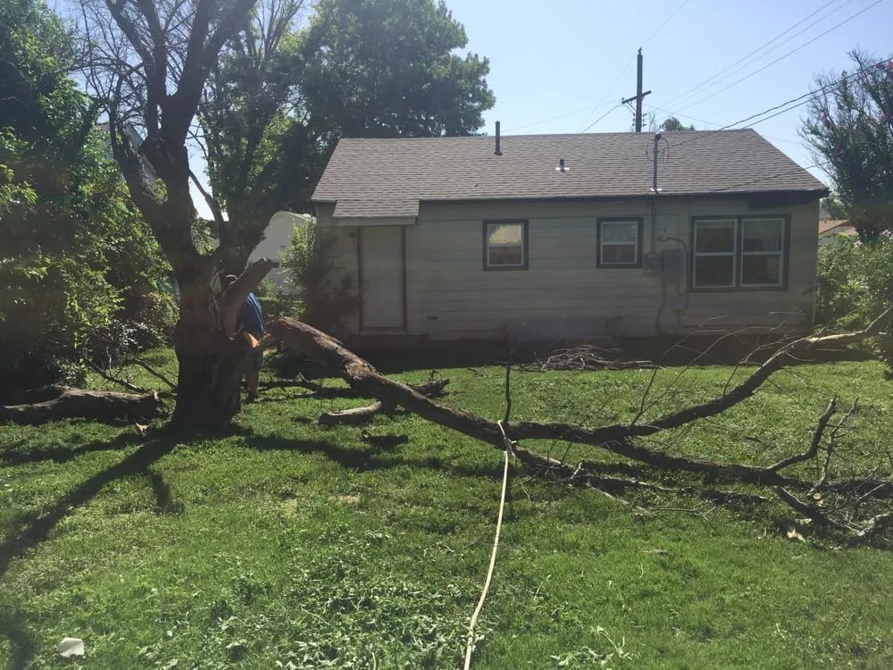 Slide of Red Hot Electric