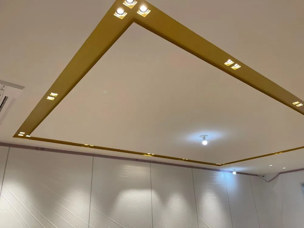 Slide of Red Sprite Electric